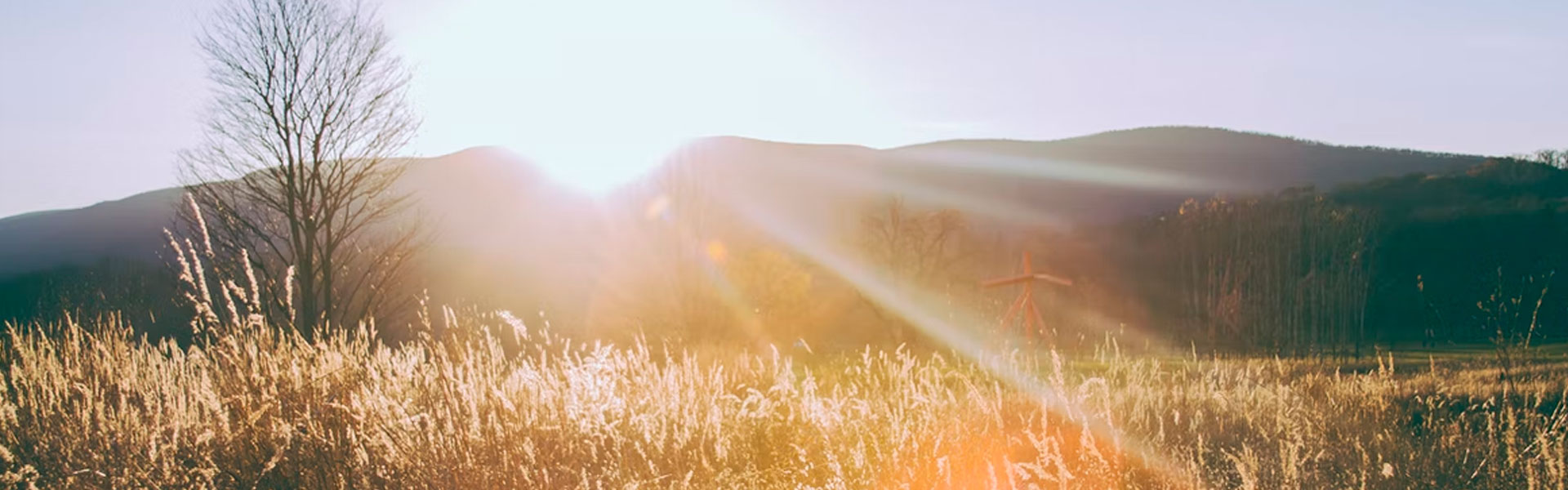 Buenos Días, Señor Jesús